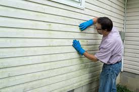 Best Siding Painting and Refinishing  in State Center, IA